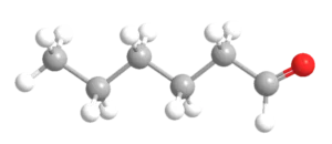 Molécule d'hexanal
